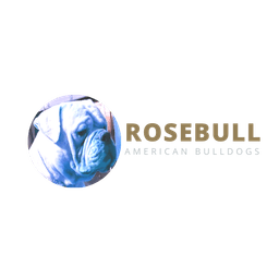 Rosebull American Bulldogs